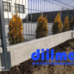 Szare ogrodzenie panelowe na betonowej podmurówce, z rzędem złotych tuj wzdłuż, na tle nowoczesnego domu z czarnymi akcentami.