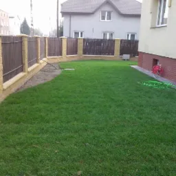 Świeżo rozłożony trawnik z rolki otoczony drewniano-kamiennym ogrodzeniem, widoczny zwinięty wąż ogrodowy przy ścianie budynku.