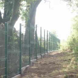Nowo postawione, zielone ogrodzenie panelowe z podmurówką betonową biegnie wzdłuż granicy działki, częściowo zasłaniając pnie drzew. W tle widoczne krzewy i zieleń.