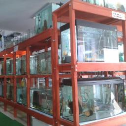 Salon Zoologiczno-Akwarystyczny,Wędkarstwo-PIRAT,PALETKI,NEON