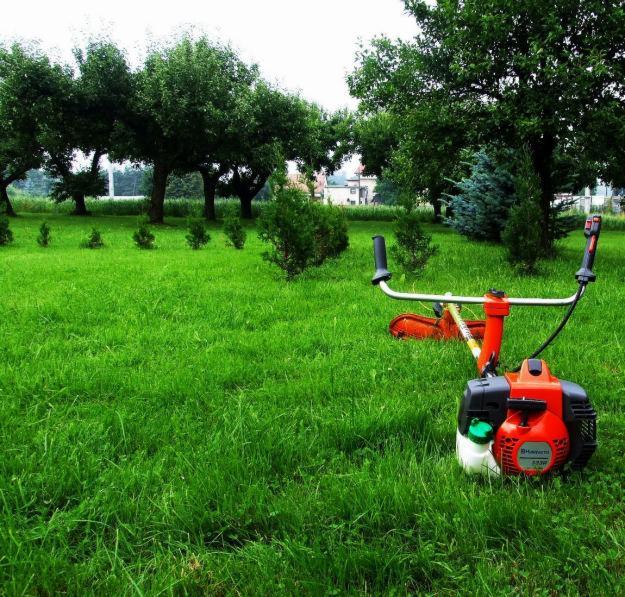 Pomarańczowa kosa spalinowa Husqvarna leży na równo skoszonym, zielonym trawniku w ogrodzie, z drzewami i krzewami w tle.