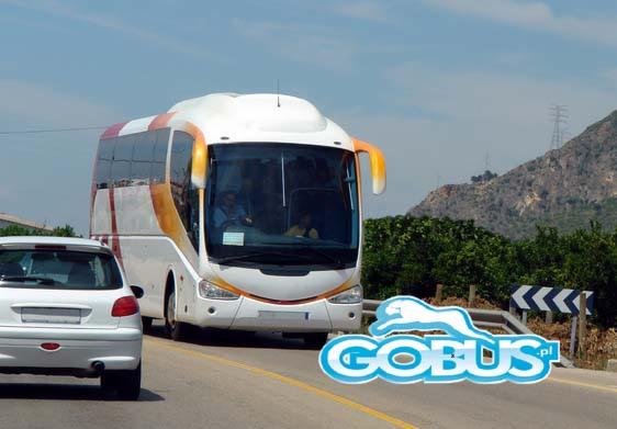 Wynajem busów Katowice przewozy autokarowe Gliwice autobus Zabrze przewóz osób Rybnik Jaworzno Tychy