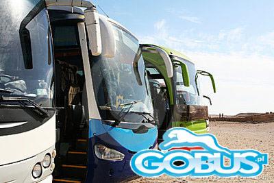 Przewóz osób Łódź wynajem busów Piotrków Trybunalski autokary Wieluń autobusy Pabianice Sieradz