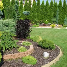 Zadbany ogród z równo przystrzyżonym trawnikiem, ozdobnymi krzewami i drzewami iglastymi, wykończony obrzeżami i korą.