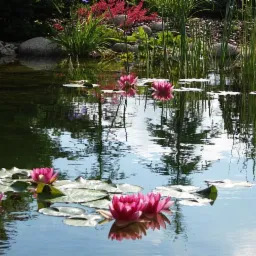 Budowa Stawów, Zbiorników Retęcyjnych, Palowanie, Faszynowanie