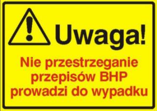 Szkolenia wstępne i okresowe w zakresie Bezpieczeństwa i higieny pracy.