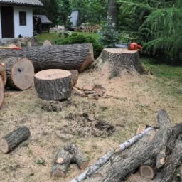 Teren po wycince drzew: pnie, kłody, piła łańcuchowa, siekiera, w tle budynek gospodarczy i stos drewna.