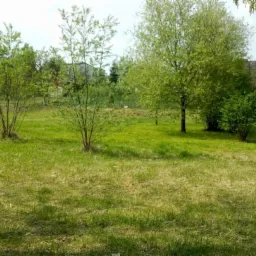 Rozległy trawnik z młodymi drzewami i krzewami, w tle budynek mieszkalny z balkonami i plac zabaw z żółtą zjeżdżalnią.