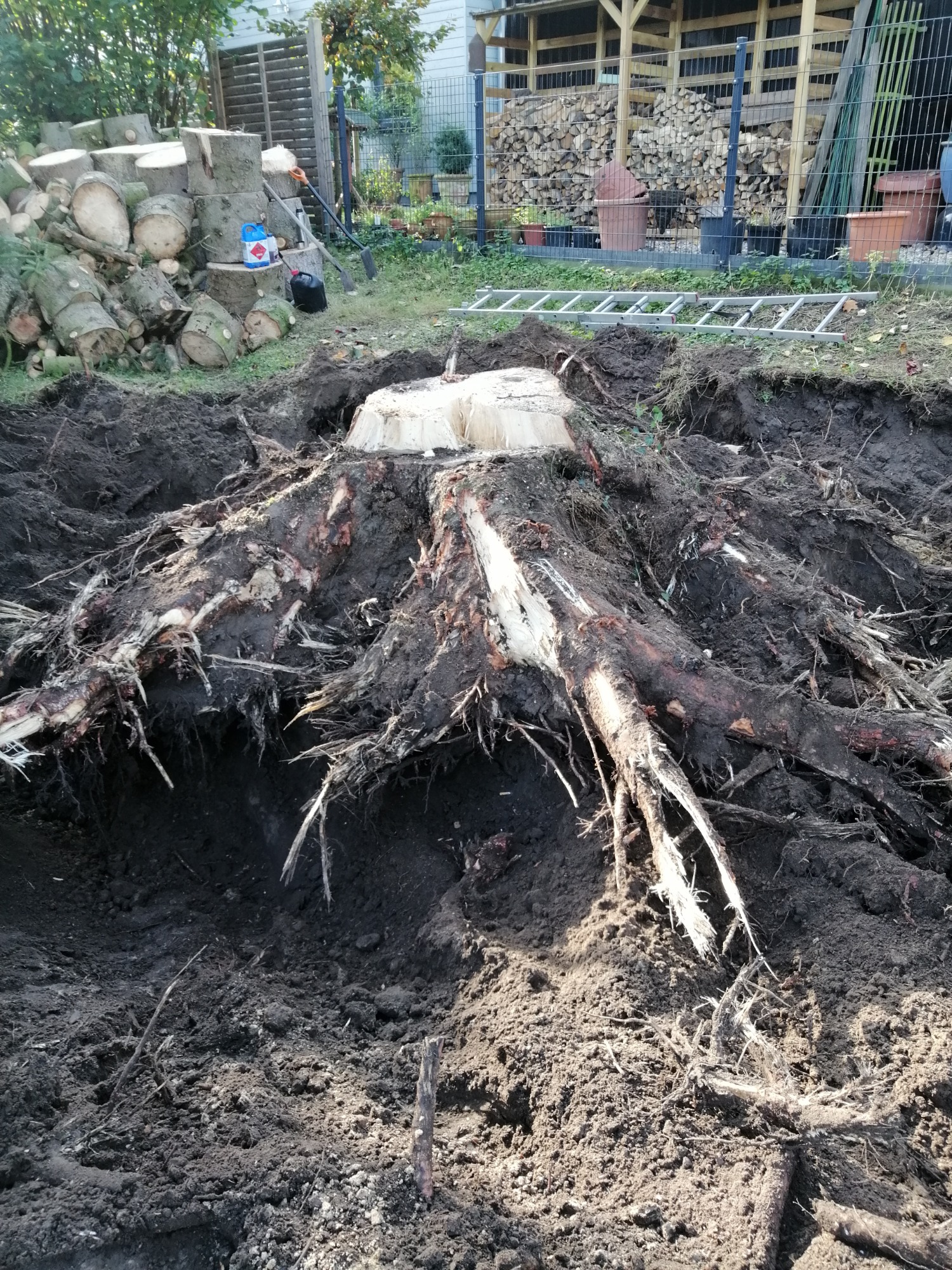 Karczowanie terenu- mechaniczne -fizyczne