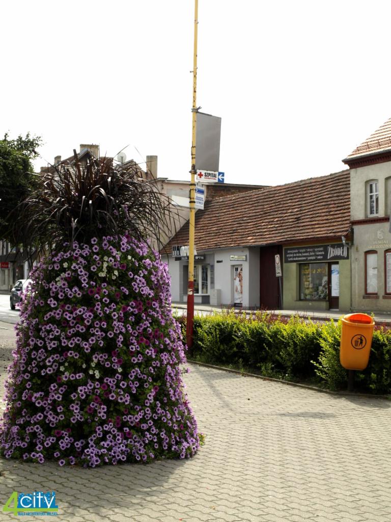 Stożkowa wieża kwiatowa z fioletowych petunii i ciemnych traw ozdobnych na tle miejskiego krajobrazu z chodnikiem z kostki brukowej i budynkami w tle.