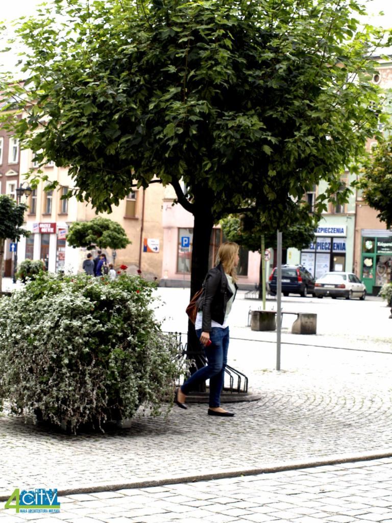 Kaskadowy kwietnik kulisty z drobnymi białymi kwiatami na tle brukowanej ulicy i drzewa, kobieta przechodzi obok.