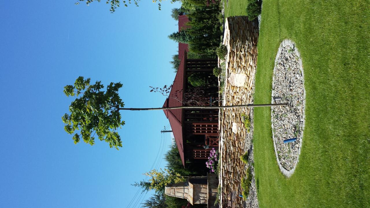 Ogród z młodym drzewkiem, kamienną ścieżką i drewnianą altaną w tle, prezentowany w słoneczny dzień. Widok na zadbany trawnik i dekoracyjną ścianę z kamienia.