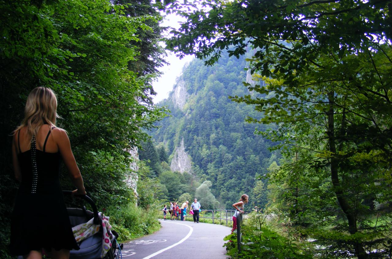 Kobieta z wózkiem spaceruje asfaltową ścieżką w otoczeniu zieleni, w tle widok na zalesione wzgórza i skały.