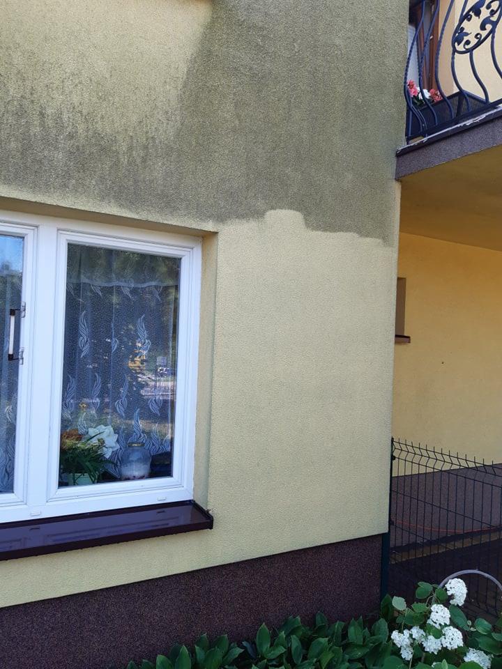 Fragment elewacji budynku po częściowym czyszczeniu, widoczna różnica w kolorze i stopniu zabrudzenia, okno z kwiatami w doniczce.