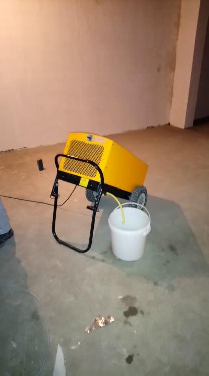 Żółty osuszacz kondensacyjny na kółkach, z podłączonym wężem odprowadzającym wodę do białego wiadra w rogu pomieszczenia z surowymi, pomalowanymi na jasny kolor ścianami i betonową posadzką.