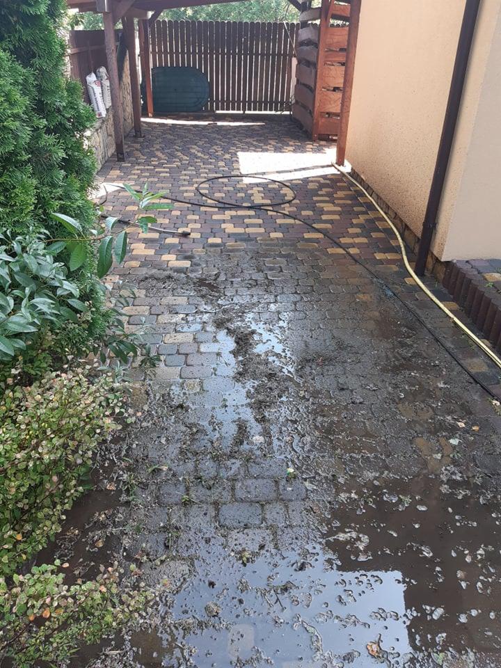 Mokry, wyczyszczony fragment kostki brukowej na podjeździe, z widocznym wężem ogrodowym i roślinnością po bokach.