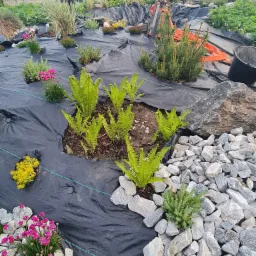 Aranżacja ogrodu w trakcie tworzenia: czarna agrowłóknina, sadzonki paproci, kolorowe kwiaty, szare kamienie, w tle ogrodzenie panelowe i dom.