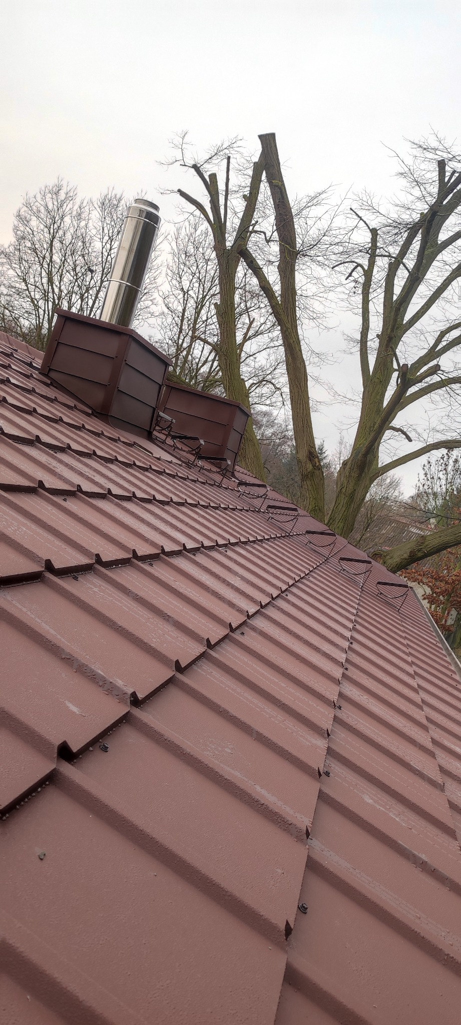 Ciemnobrązowy dach z blachy trapezowej, komin ze stali nierdzewnej, drabinki dachowe, widok z dołu na tle drzew bez liści i pochmurnego nieba.
