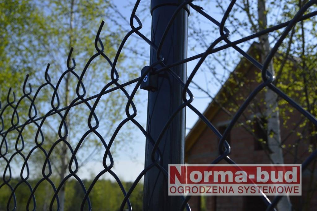 Ciemna siatka ogrodzeniowa na tle zieleni i fragmentu budynku. Widoczny słupek z mocowaniem siatki. Na dole logo firmy Norma-bud.