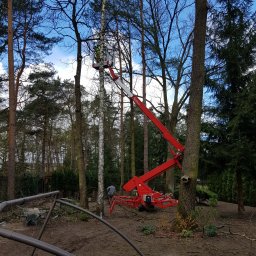 Prace wysokościowe Domaniewek 2