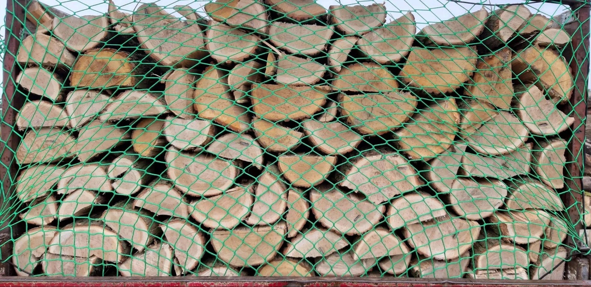 Ułożone pocięte bale drzewa liściastego, zabezpieczone zieloną siatką transportową, widoczne słoje i kora.