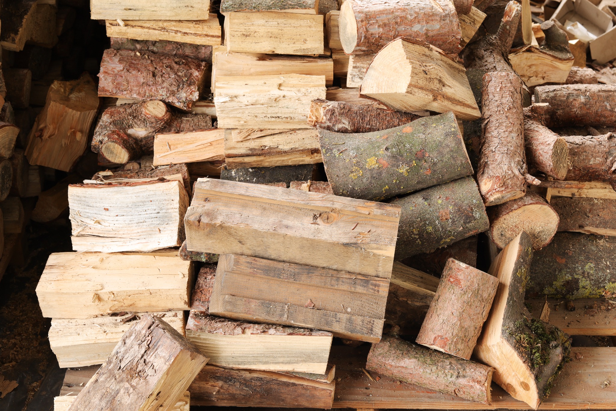 Stos pociętego drewna na palecie, widoczne kawałki z korą i bez, niektóre z mchem.