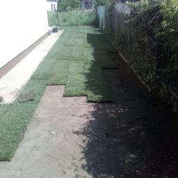 Po przygotowaniu terenu zakładanie trawnika z rolki 