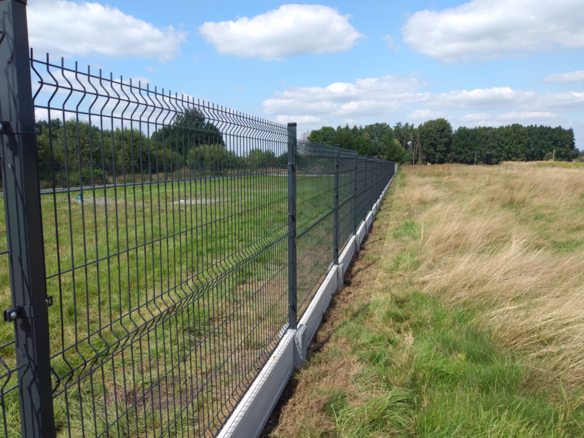 Długie, ciemnoszare ogrodzenie panelowe z podmurówką betonową, oddzielające zielony trawnik od pola z wysoką, suchą trawą, na tle błękitnego nieba z białymi chmurami.