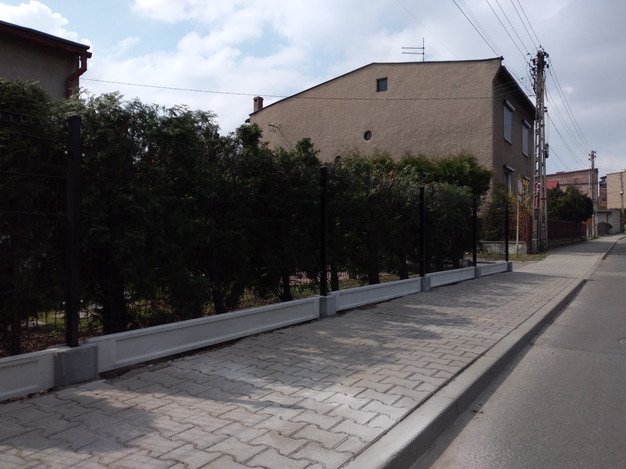 Nowoczesne ogrodzenie panelowe z podmurówką betonową, obsadzone tujami, przylegające do chodnika z kostki brukowej i asfaltowej ulicy w tle budynek mieszkalny.