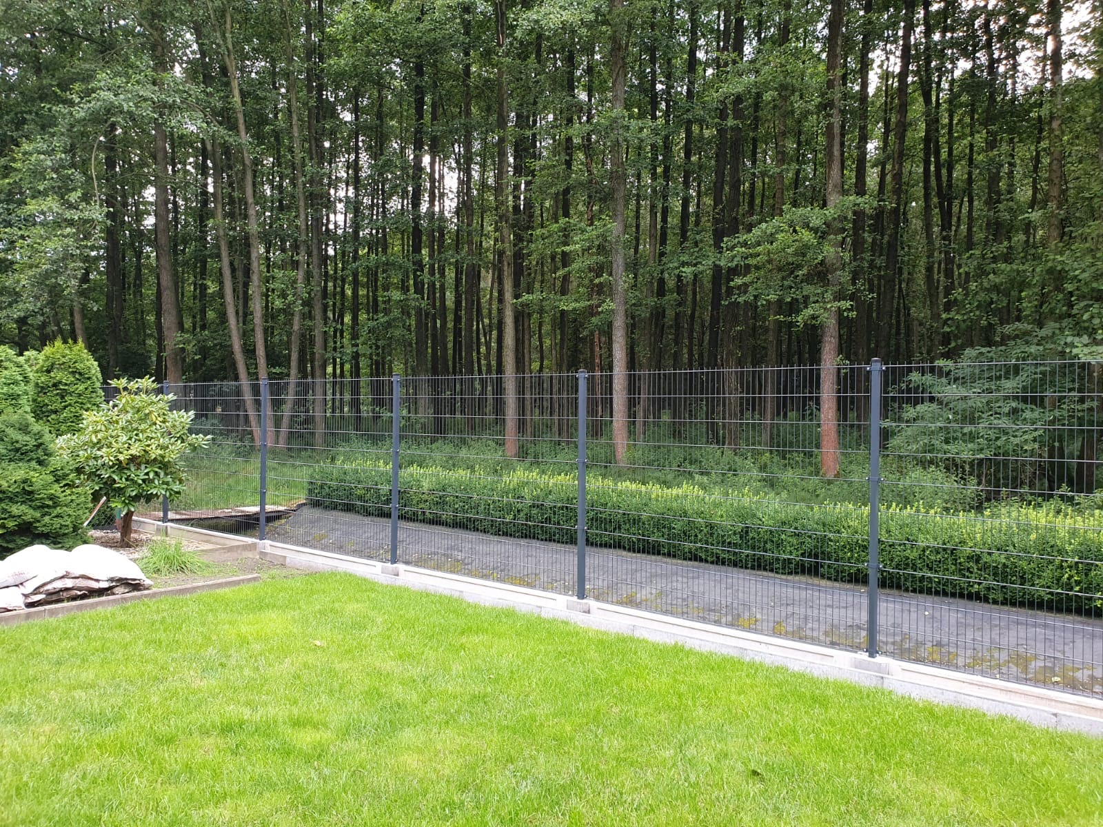 Szara, metalowa siatka ogrodzeniowa na betonowej podmurówce, oddzielająca trawnik od leśnego terenu z widocznym utwardzonym fragmentem ścieżki.