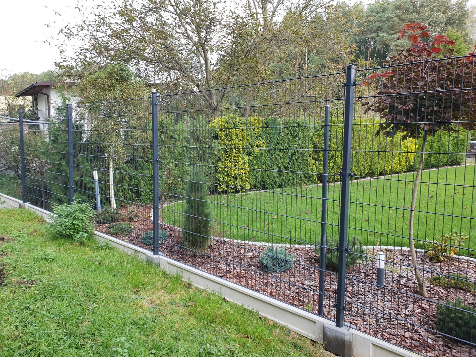 Nowoczesne ogrodzenie panelowe w kolorze grafitowym z podmurówką betonową, otoczone zielenią trawnika i krzewów, z widocznym drzewem o czerwonych liściach w tle.
