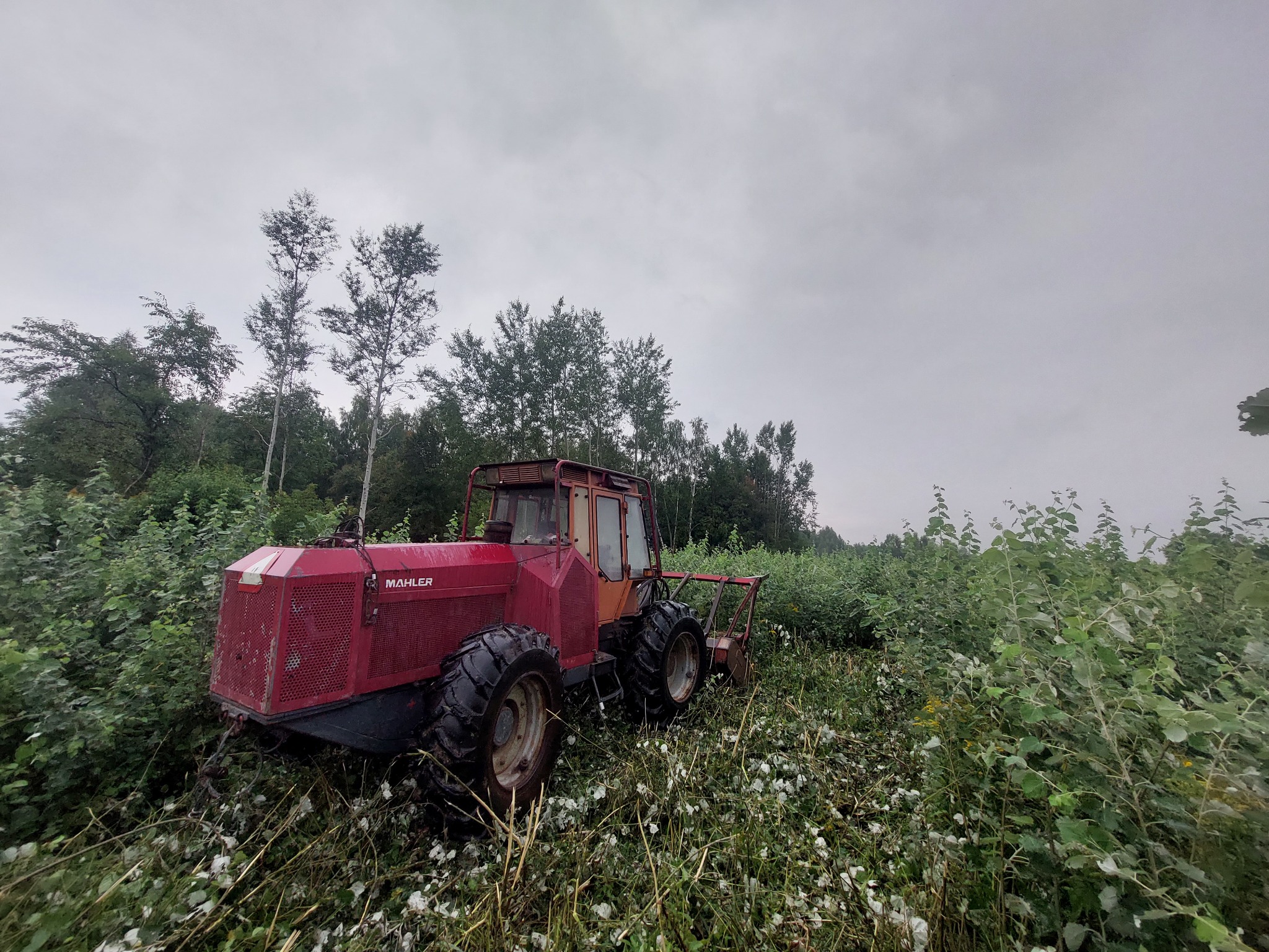 Czerwony traktor Mahler na zarośniętym terenie w Markach, prawdopodobnie po wycince, z widocznymi śladami cięcia roślinności.