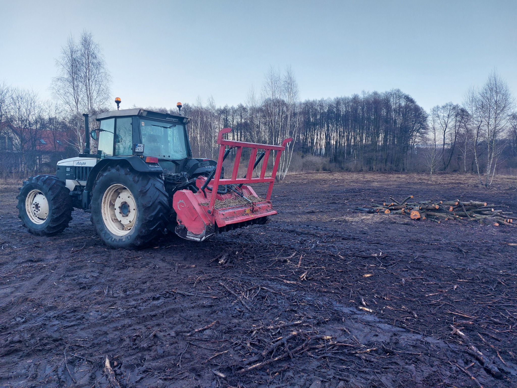 Ciągnik Lamborghini z frezem leśnym na polu po wycince drzew, w tle las i stos pociętych gałęzi.