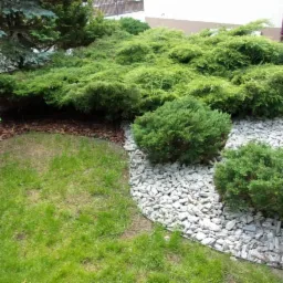 zakładanie i modernizacja ogrodu