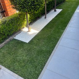 Jacek Domagała - Ogród z równo przystrzyżoną trawą, ścieżką z białego żwiru i formowanymi drzewami kulistymi.