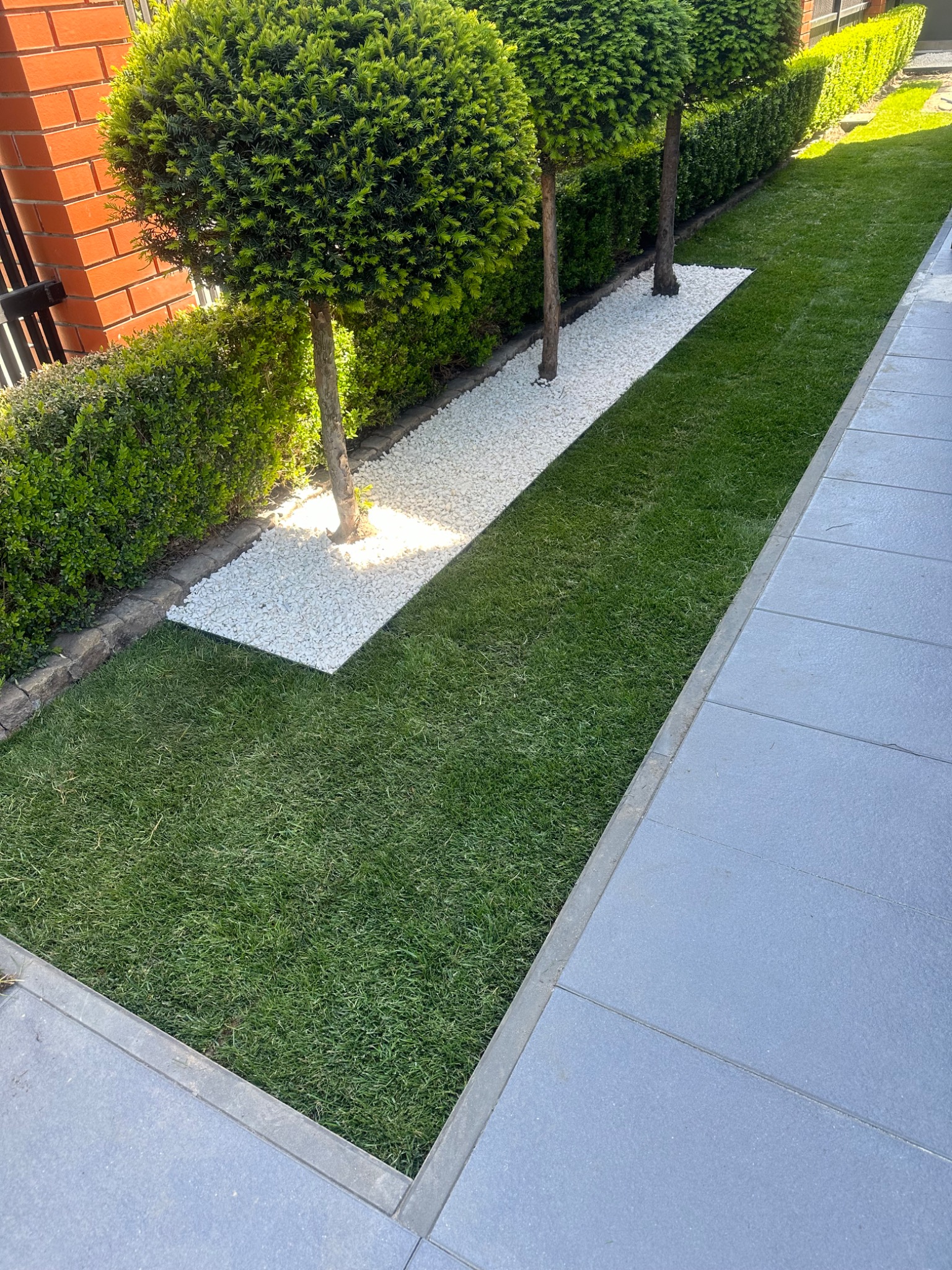 Ogród z równo przystrzyżoną trawą, ścieżką z białego żwiru i formowanymi drzewami kulistymi.