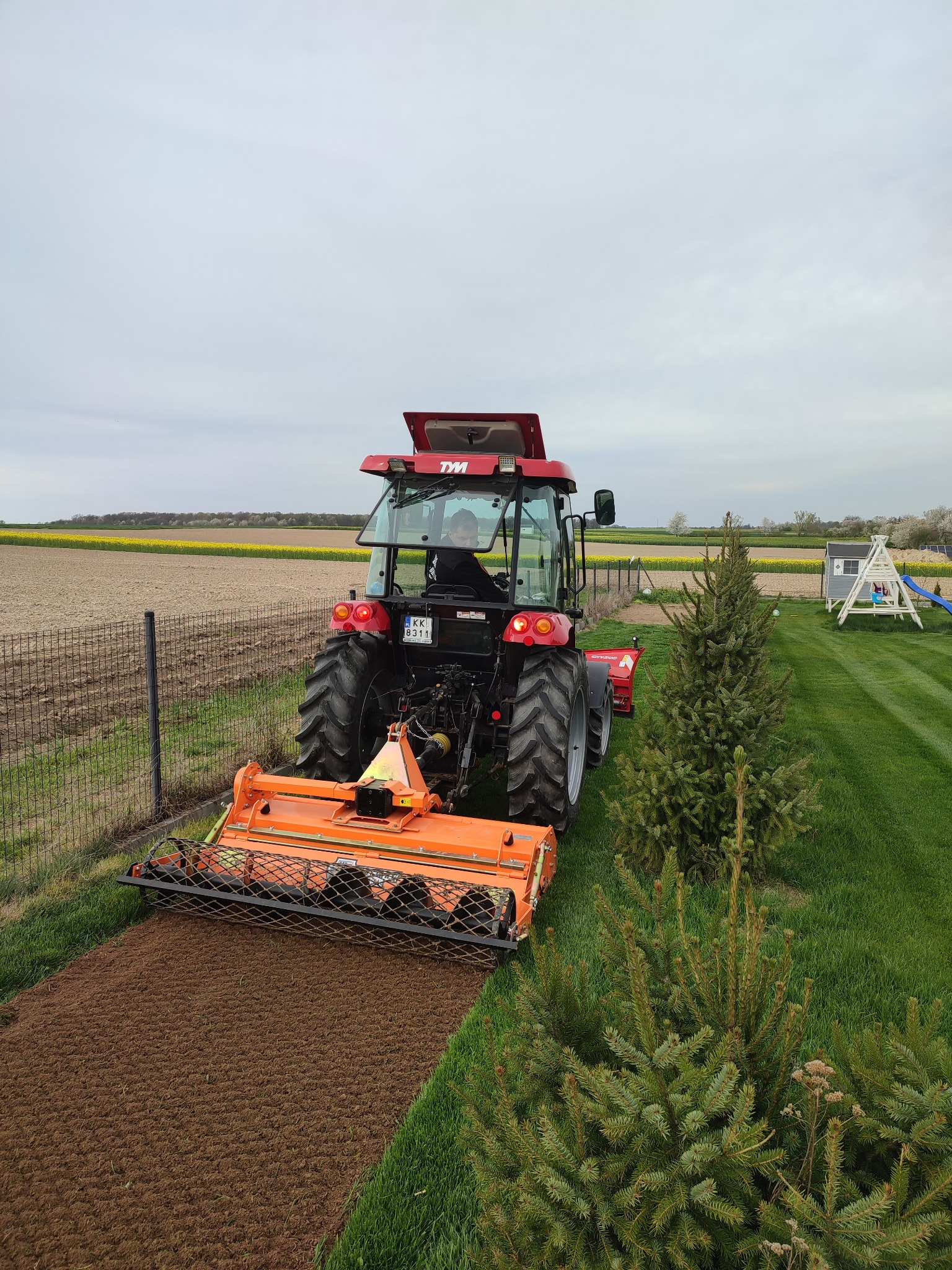 Czerwony traktor z pomarańczowym agregatem uprawowym przygotowuje glebę pod trawnik, widok z tyłu, obok ogrodzenie i iglaki, w tle pole i plac zabaw.