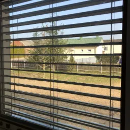 Poziome żaluzje wewnętrzne w oknie, widok na podwórze z drzewami i domami w tle, częściowo zasłonięty widok.