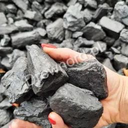 Kobieta z czerwonym manicure trzyma w dłoni bryły antracytu na tle sterty węgla.