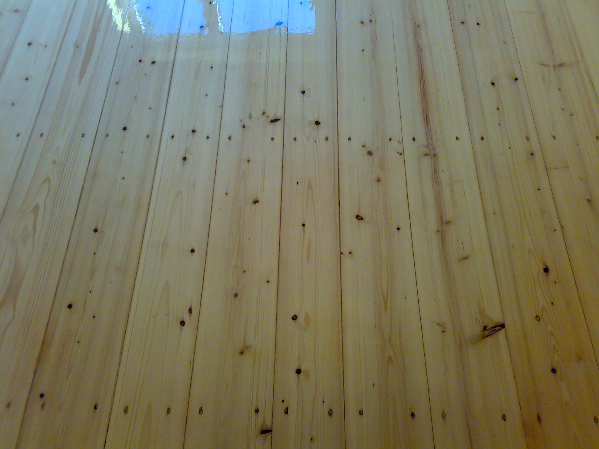 Świeżo polakierowana, jasna drewniana podłoga z widocznymi sękami i odbiciem światła w mokrej powłoce.