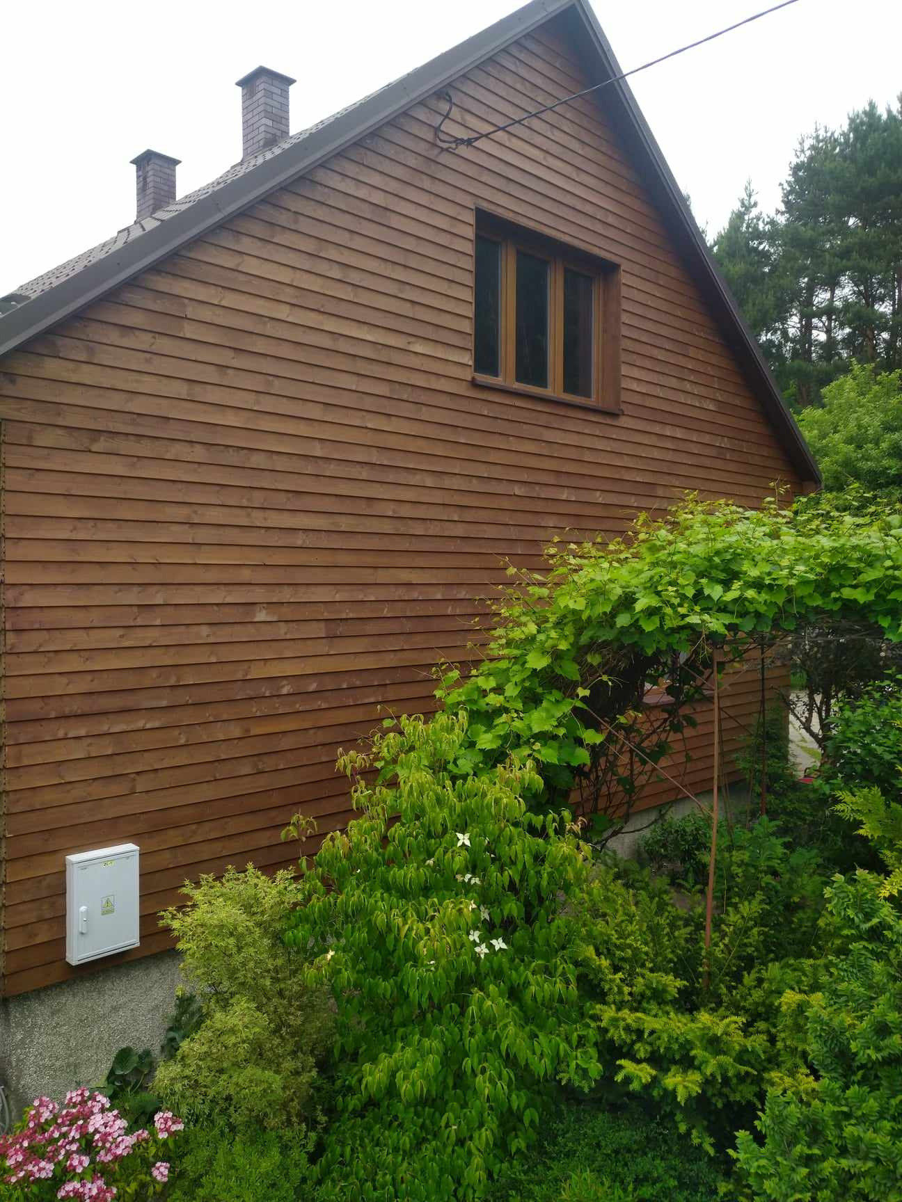Ściana domu w Szydłowcu wykończona brązową, poziomą boazerią drewnianą, widoczna skrzynka elektryczna, okno z ciemnymi ramami i bujna zieleń ogrodu.