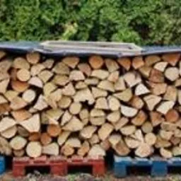 Dekarstwo ciesielstwo chirurgia drzew transport