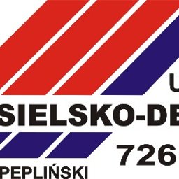 Radosław Pepliński Usługi Ciesielsko Dekarskie - Usługi Dekarskie Egiertowo