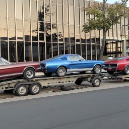 TW - Laweta z trzema klasycznymi Ford Mustangami w różnych kolorach: bordowym, niebieskim i czerwonym, zaparkowana na tle nowoczesnego budynku z szklaną fasadą.