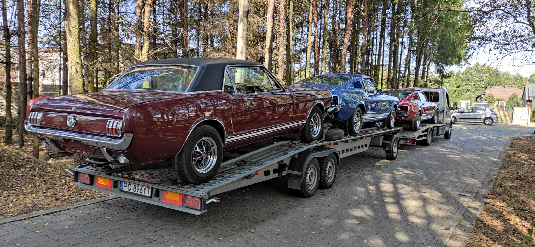 Laweta z trzema klasycznymi samochodami Ford Mustang w kolorach bordowym, niebieskim i czerwonym, transportowana na przyczepie w otoczeniu drzew.