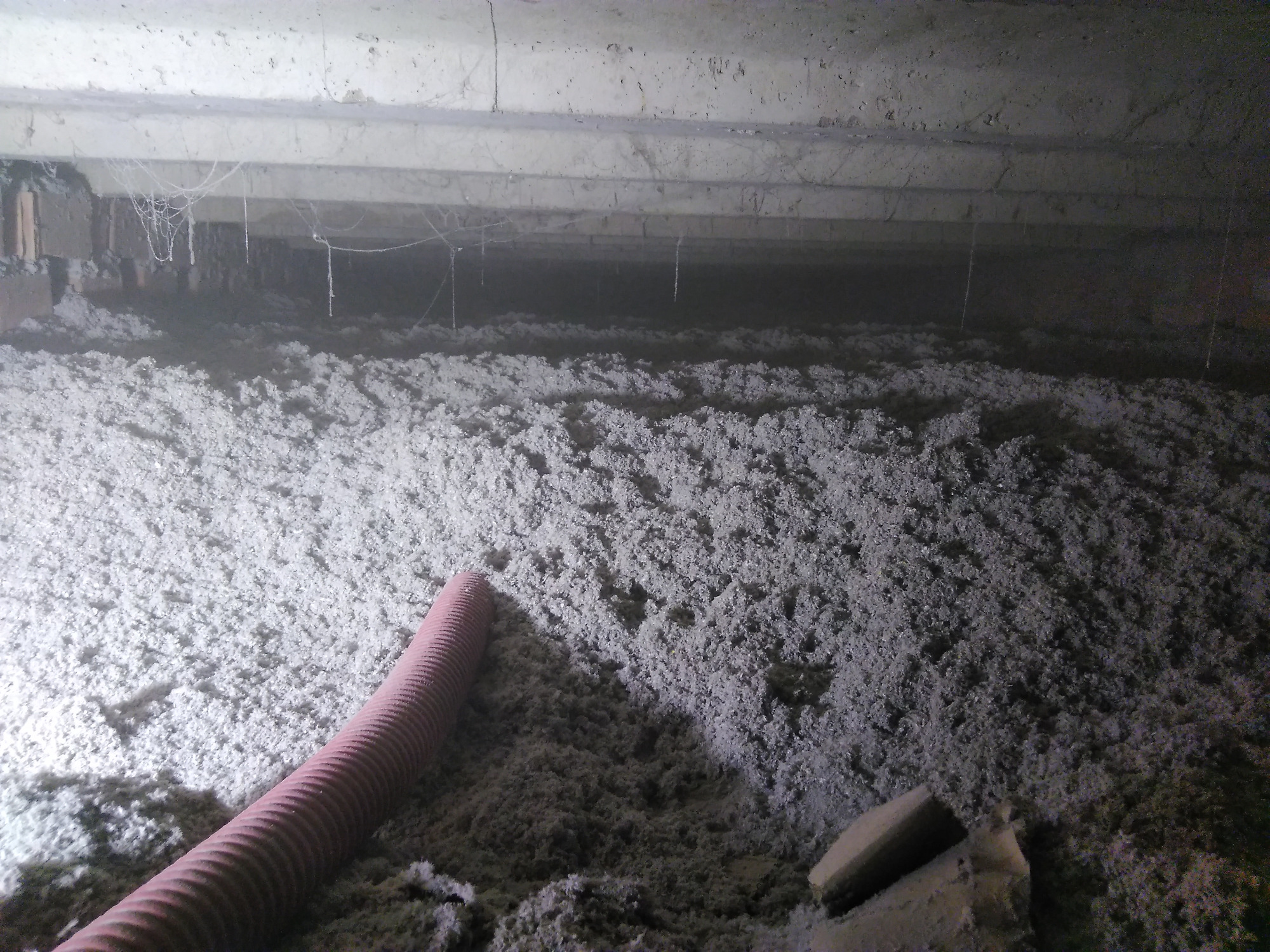 Poddasze z widoczną warstwą izolacji z włókien celulozowych, z fragmentem czerwonej rury w lewym dolnym rogu, oraz elementami konstrukcyjnymi stropu w górnej części kadru, oświetlone punktowo.