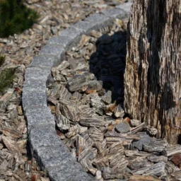 Kora Kamienna 11 -32