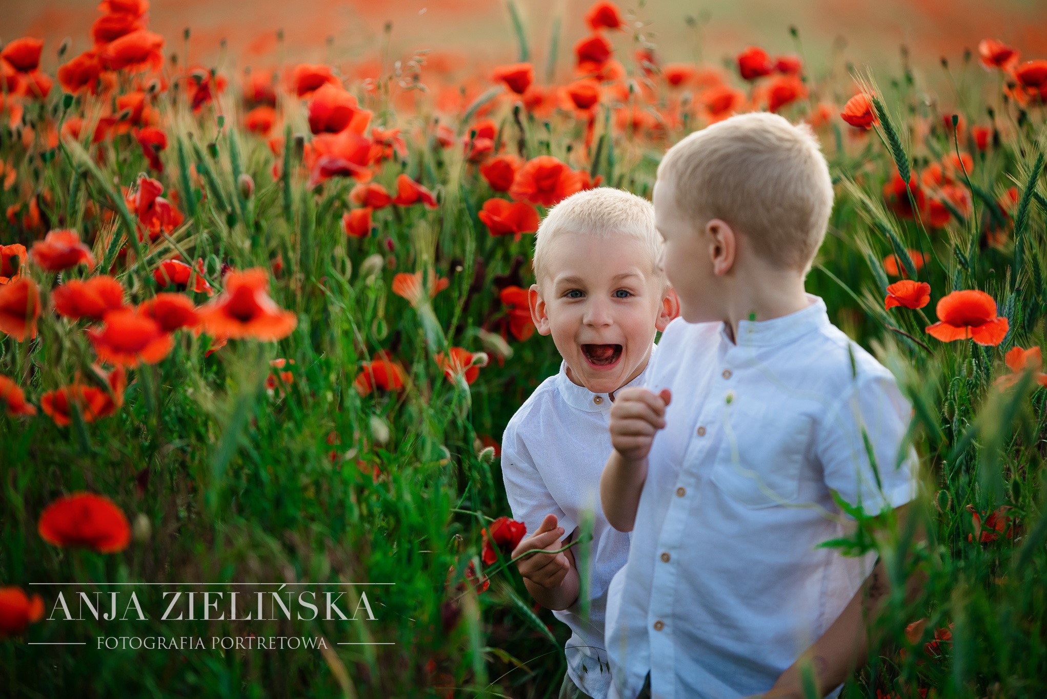 Dwóch blond chłopców w białych koszulach stoi na łące z czerwonymi makami, jeden z otwartą buzią trzyma mak