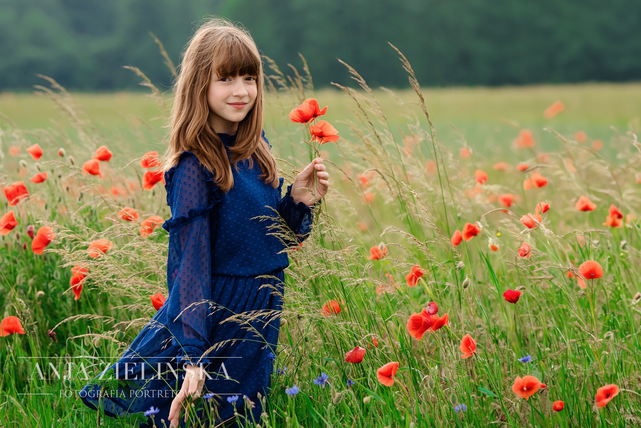 Uśmiechnięta dziewczynka w niebieskiej sukience stoi na łące pełnej maków, trzymając w dłoni bukiet czerwonych kwiatów.
