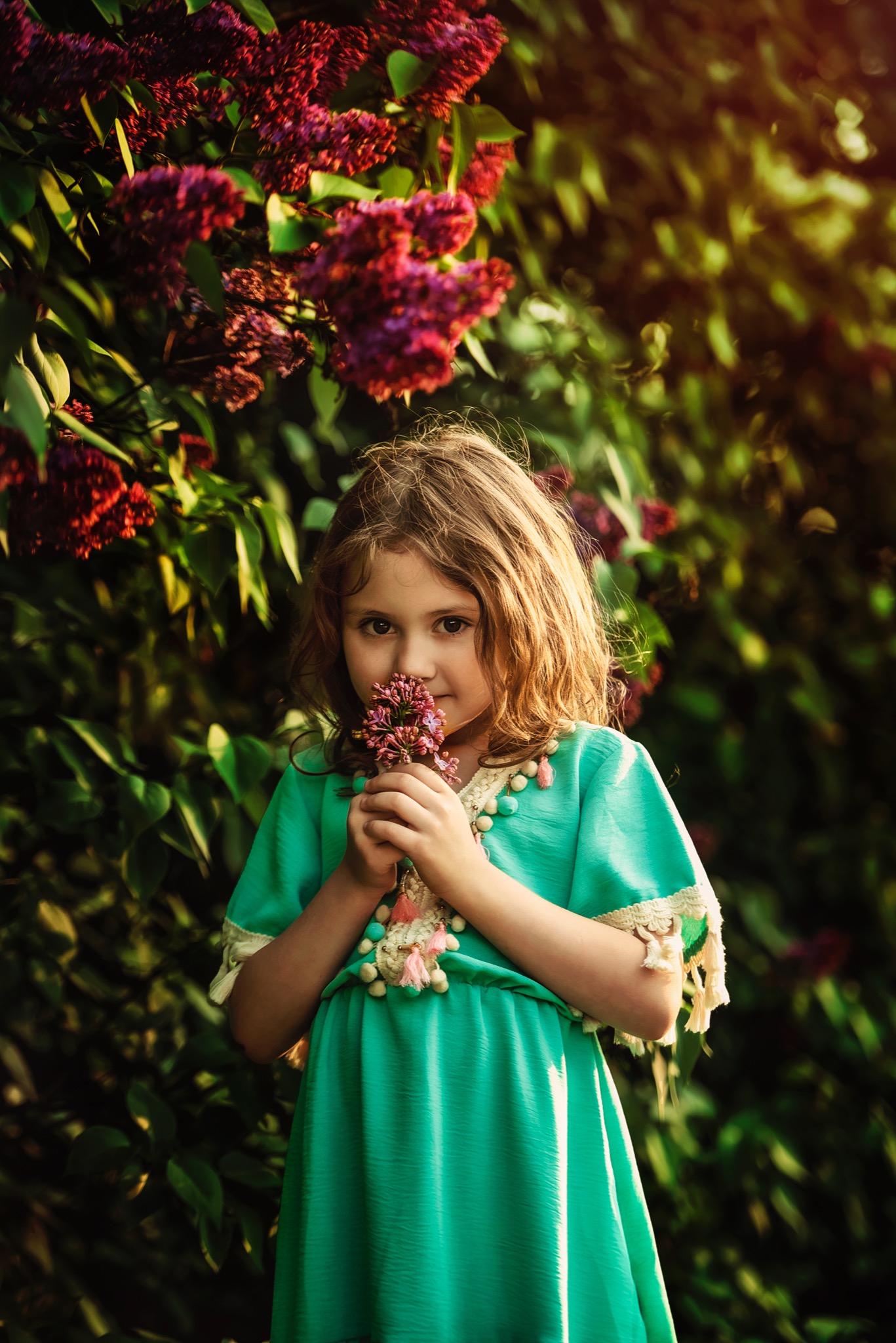 Dziewczynka w zielonej sukience trzyma kwiaty bzu na tle kwitnącego krzewu bzu w promieniach zachodzącego słońca.
